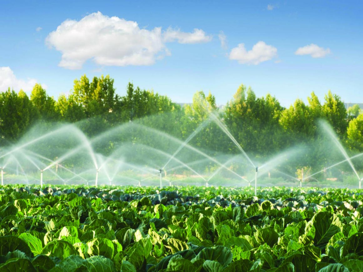 Regolamento (UE) 2020/741 recante prescrizioni minime per il riutilizzo dell’acqua a fini irrigui in agricoltura.