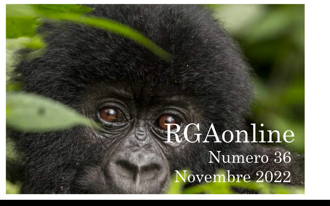 Novembre 2022