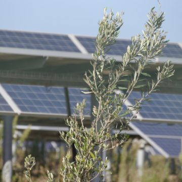 Impianti fotovoltaici: bilanciamento tra tutela del paesaggio e transizione ecologica