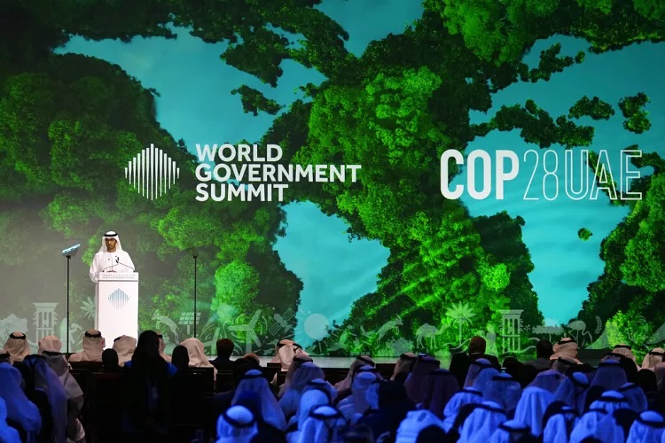 Cosa cambia dopo la COP28 per le foreste? Spunti per la valorizzazione delle biomasse legnose