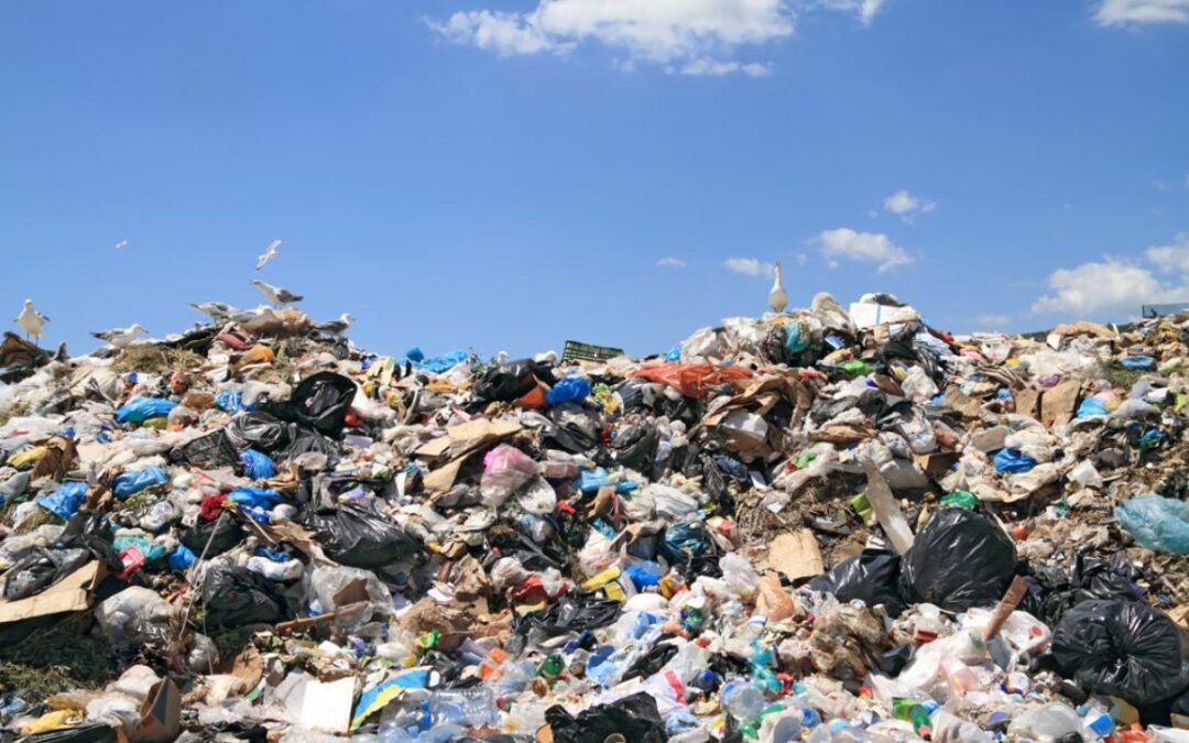 Discarica abusiva e abbandono di rifiuti: principi noti tra enunciazione astratta e (dis)applicazione pratica?