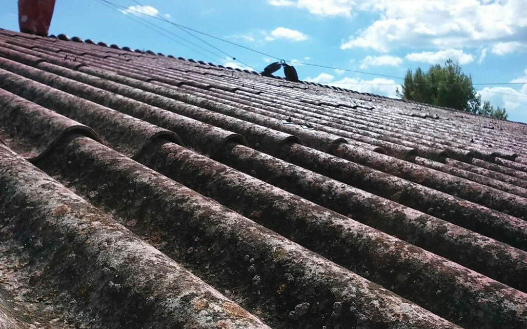 Presenza di amianto negli edifici: il decorso del tempo non consuma il potere di ordinanza