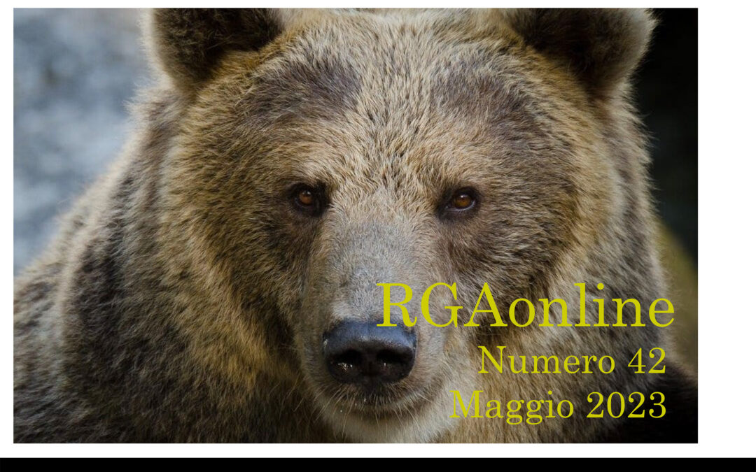 Maggio 2023