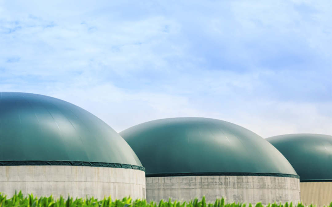 Impianti di produzione di biometano dalla Forsu: Il Consiglio di Stato cambia idea, serve anche l’autorizzazione unica