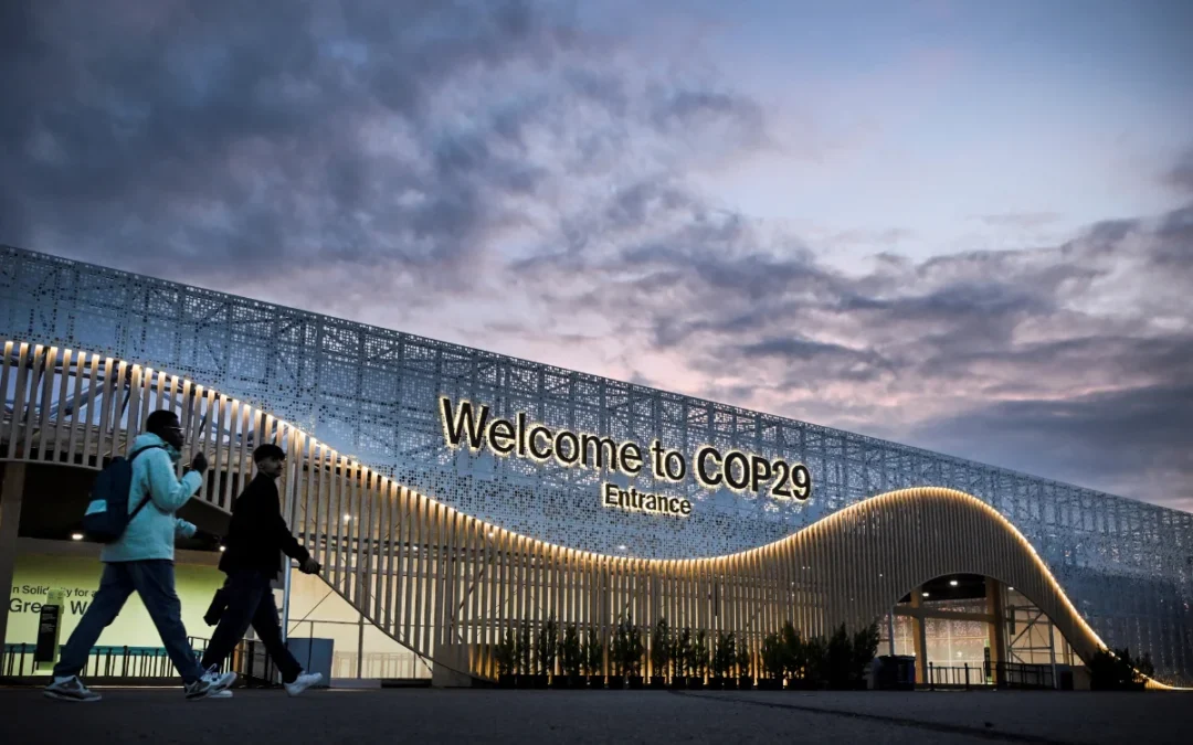 Da un’osservatrice delle Nazioni Unite: fallimenti e successi della Cop29
