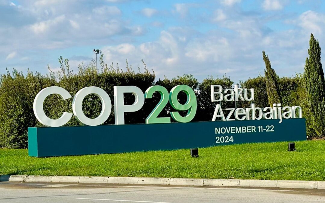 La COP29 di Baku: prime riflessioni