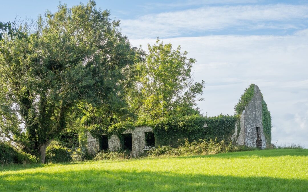I rapporti di forza tra la materia urbanistica e la tutela ambientale: il caso della ristrutturazione edilizia di ruderi