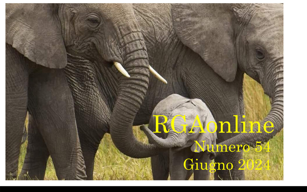 Giugno 2024