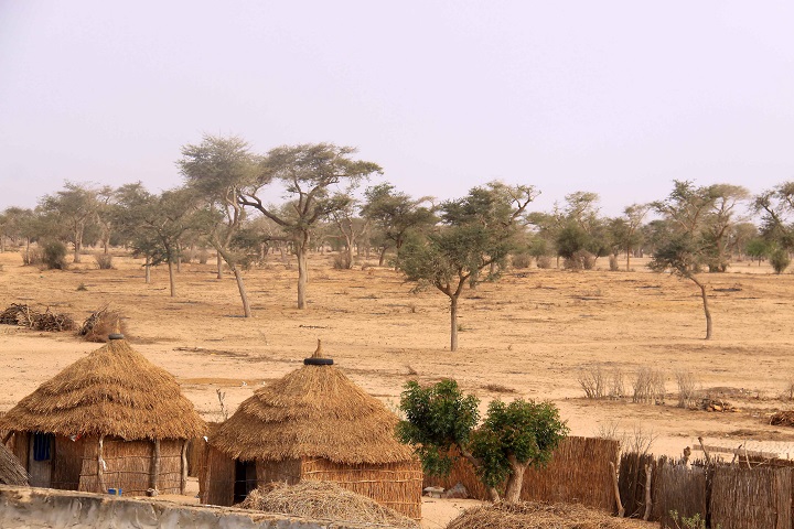 Senegal in fuga. Terre arse, mari esausti e l’esodo climatico