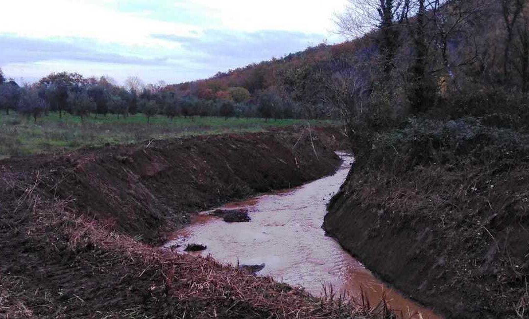 Interventi sui corsi d’acqua e valutazioni di incidenza