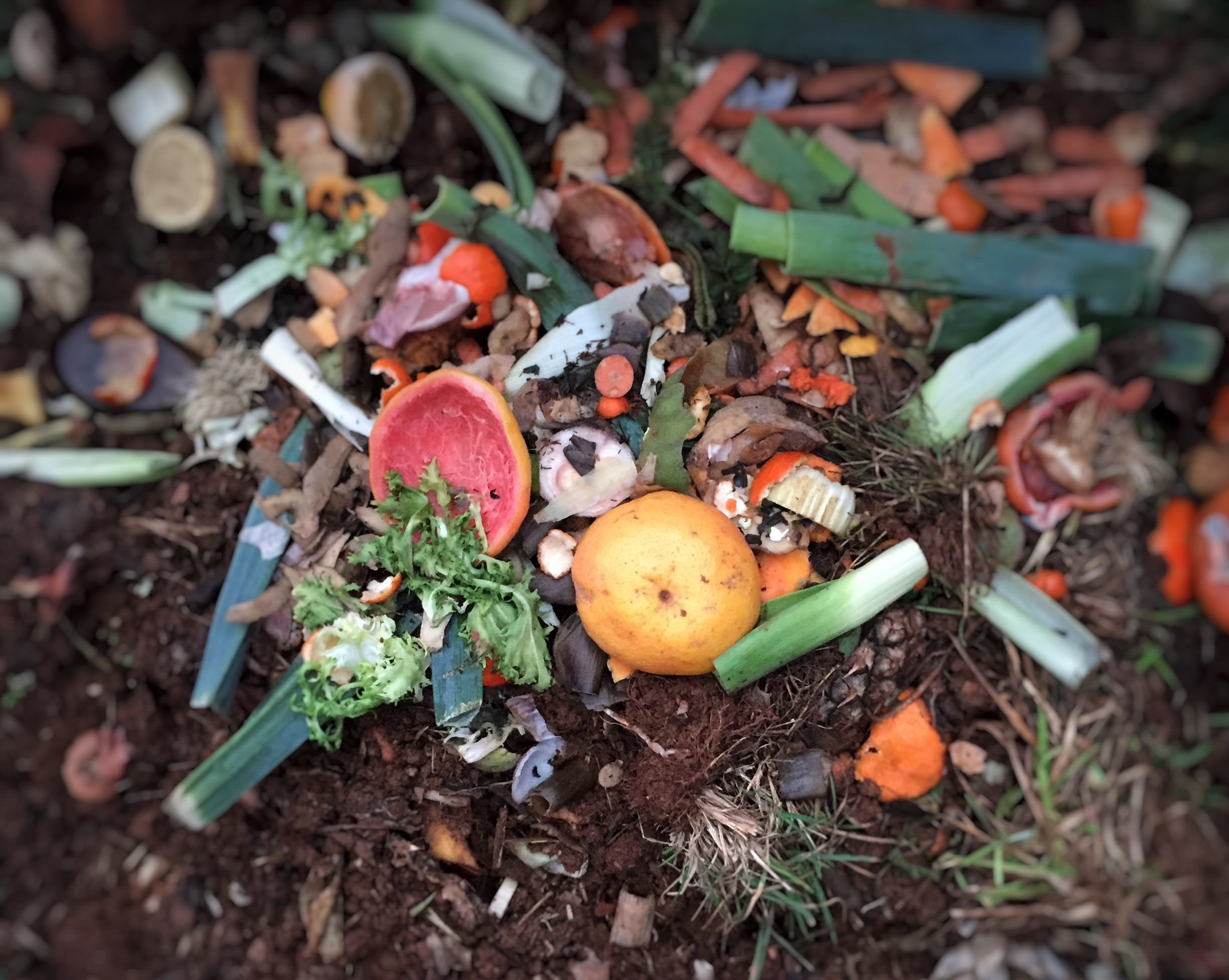 Activateur de compost FERTILIGENE - FACOMP12 - 1,2 kg - Accélère la décomposition des déchets