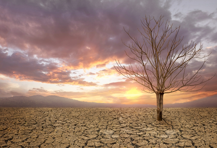 La rivoluzione ignorata del principio DNSH