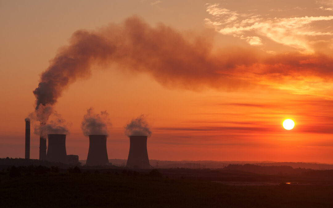 Domande senza risposta: il National carbon budget