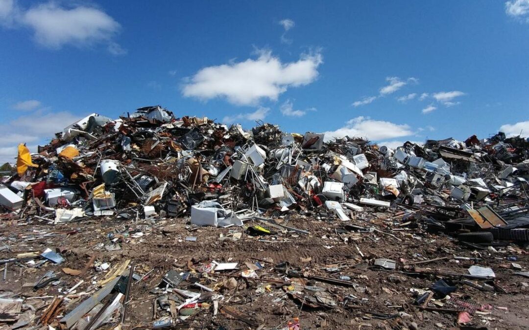 Lo stato dell’arte sul carattere “abusivo” della condotta nei delitti contro l’ambiente