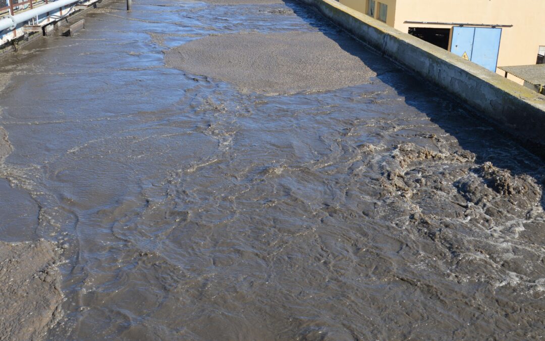 Criteri di validità della delega ambientale e ricadute in tema di responsabilità penale