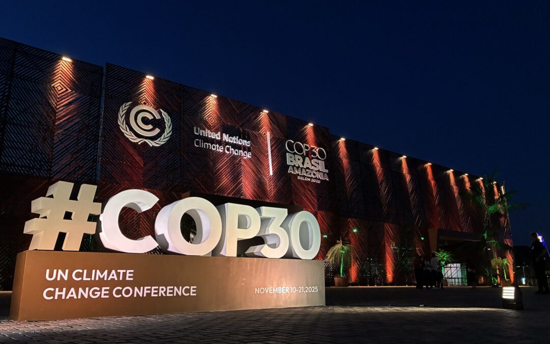 COP30 in Belém: What Early-Career Scientists Should Know About Climate Power and Participation