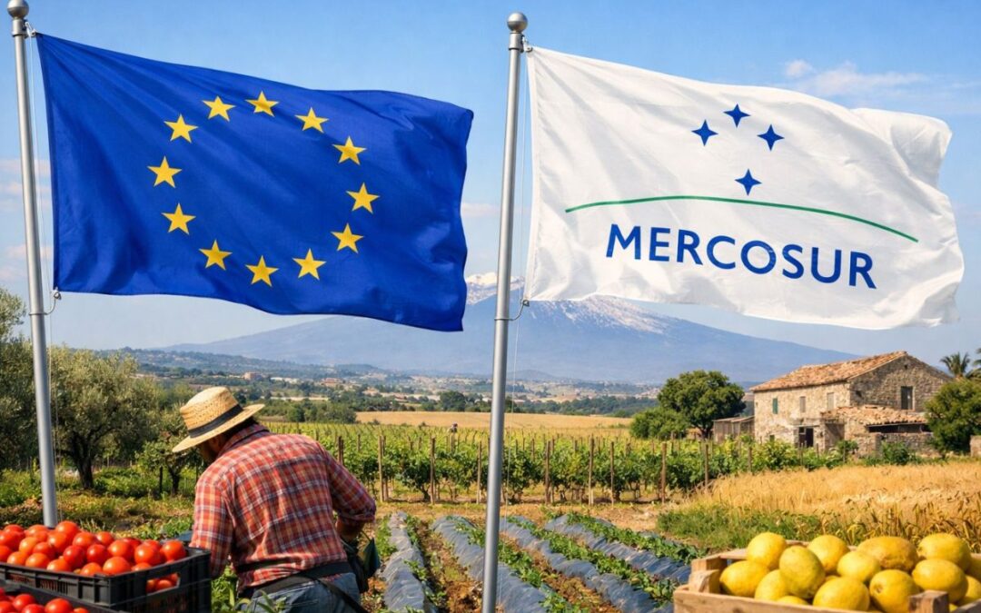 A proposito delle clausole di salvaguardia nei futuri accordi commerciali UE-Mercosur