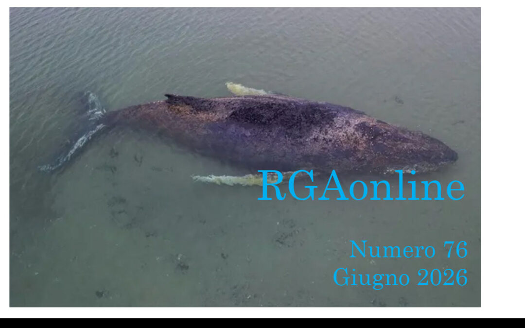 Giugno 2026