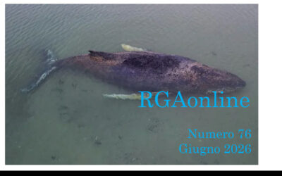 Giugno 2026