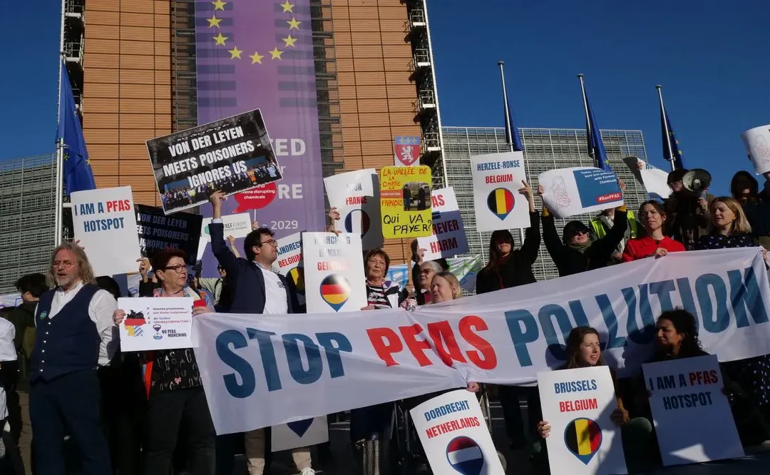 L’esposizione ai PFAS e la tutela del diritto alla salute in Belgio davanti al Comitato europeo per i diritti sociali. Riflessioni e analogie con la situazione italiana