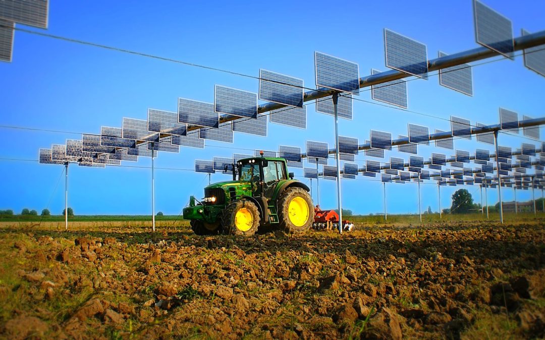 La mattonella contesa o il paradosso dell’onnipotenza. Impatto cumulativo, priorità e realizzabilità dei progetti concorrenti nella VIA delle rinnovabili