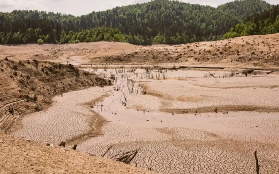 Un rapporto sullo svolgimento e sul bilancio della COP17 – Convenzione delle Nazioni Unite per la Lotta alla Desertificazione, a cura del prof. Quirico Migheli, sarà pubblicato sul prossimo numero