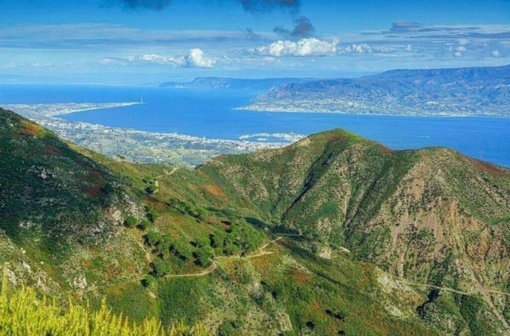 Prima dello Screening – La nozione di «attività» nella valutazione di incidenza nei siti Natura 2000. Genealogia normativa, diritto comparato e proposta per una soglia procedimentale