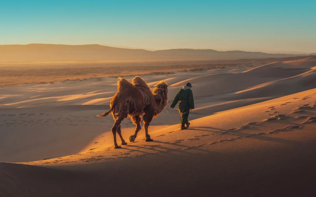 COP17 sulla desertificazione: da Ulaanbaatar un bilancio tra progressi tecnici e blocco politico